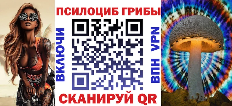 Псилоцибиновые грибы Magic Shrooms  купить   Арск 